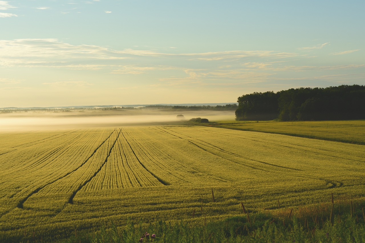Why Buy Land?