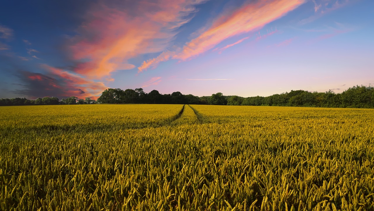 Top 10 Things to Consider Before Selling Your Land