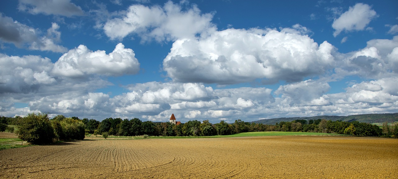 The Top 10 Things to Consider Before Buying Land